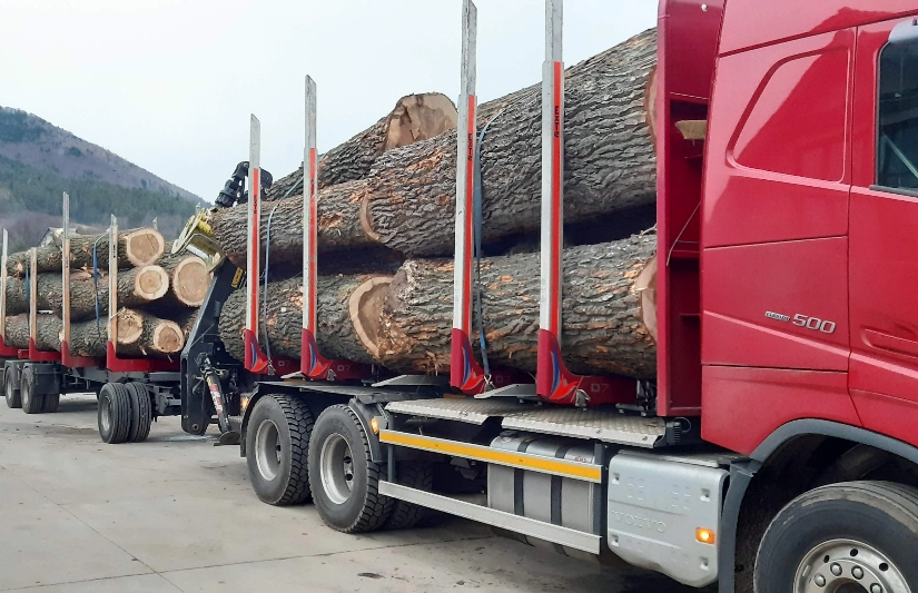 Przewóz drewna przez czerwoną ciężarówkę